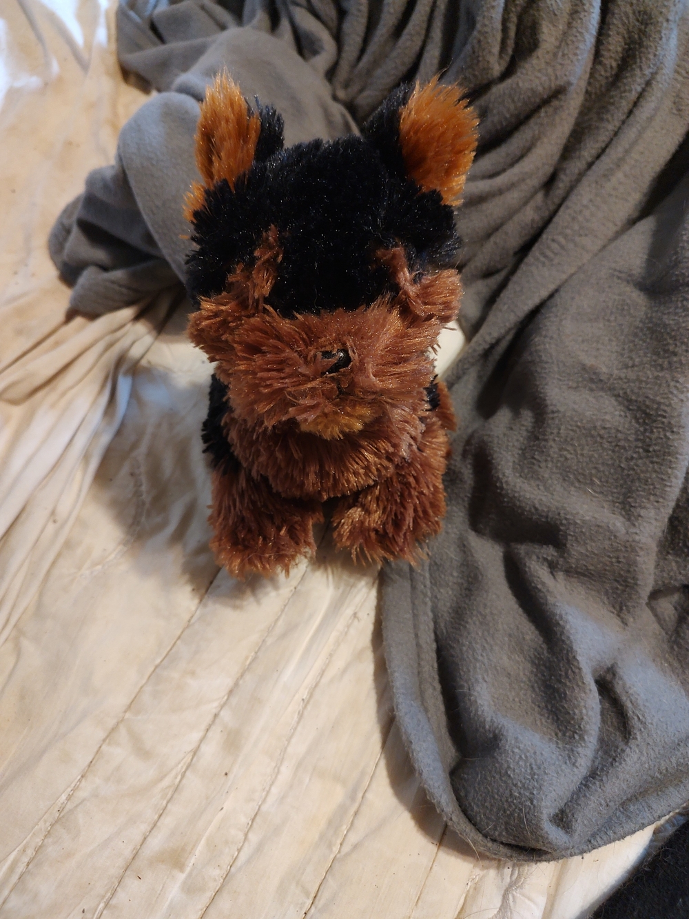 Webkinz Teacup Yorkie